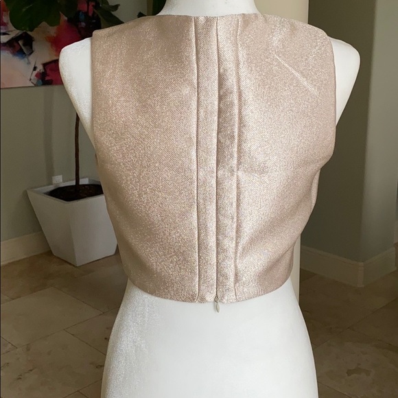 Champagne Crop Top - Picture 5 of 8